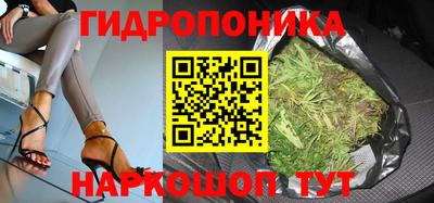 прущие грибы Краснокаменск