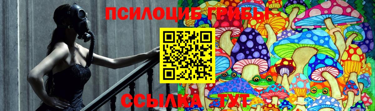 Псилоцибиновые грибы Cubensis Черняховск